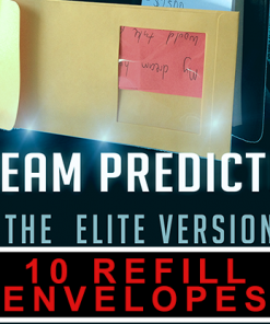 Envelopes for Dream Prediction Elite Version (10 ct.) by Paul Romhany  - Trick