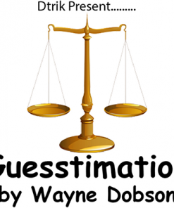 Guesstimation by Wayne Dobson video DOWNLOAD