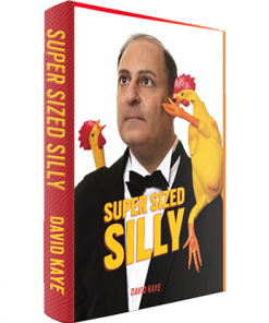 Super Sized Silly by David Kaye - Book