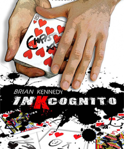 InKcognito by Brian Kennedy video DOWNLOAD