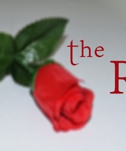The Rose by Sandro Loporcaro (Amazo) video DOWNLOAD