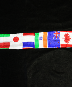 Chameleon Flag Streamer by Mr. Magic - Trick