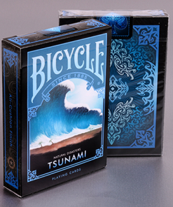 Bicycle Natural Disasters 