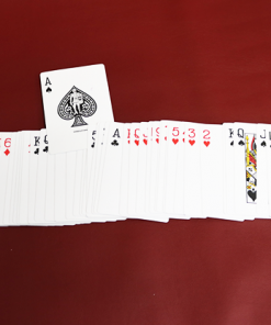 Shrinking Deck by Mr. Magic - Trick