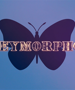 Moneymorphosis (Gimmick and Online Instructions) by Dallas Fueston and Jason Bird - Trick