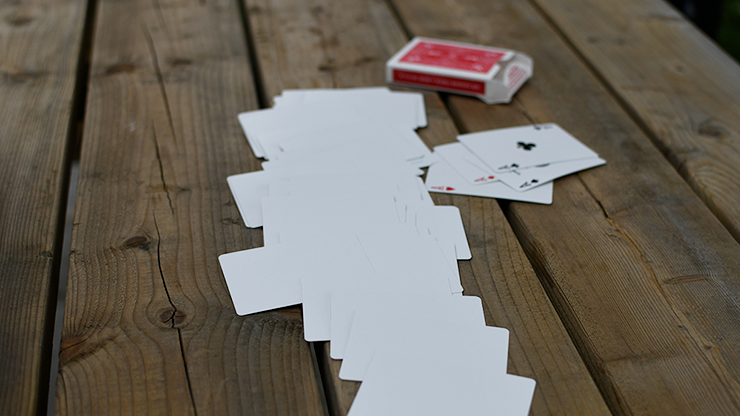 Alpha Deck (Cards and Online Instructions) by Richard Sanders - Trick Alpha Deck (Cards and Online Instructions) by Richard Sanders - Trick