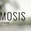 Osmosis (Gimmicks and Online Instructions) by Rodrigo Romano and Mysteries - Trick Osmosis (Gimmicks and Online Instructions) by Rodrigo Romano and Mysteries - Trick
