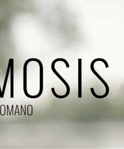 Osmosis (Gimmicks and Online Instructions) by Rodrigo Romano and Mysteries - Trick