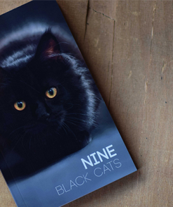 Nine Black Cats by Neemdog and Lorenzo - Book
