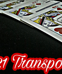 421 Transport by David Luu video DOWNLOAD