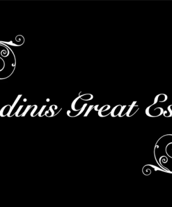 Houdini's The Great Escapes by Mark Lee