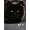 Nine Black Cats by Neema Atri eBook DOWNLOAD Nine Black Cats by Neema Atri eBook DOWNLOAD