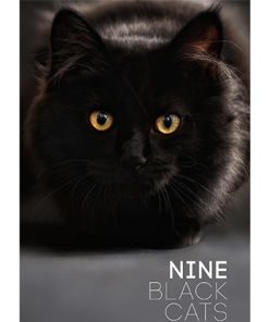 Nine Black Cats by Neema Atri eBook DOWNLOAD