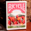 Bicycle Four Seasons Limited Edition (Spring) Playing Cards