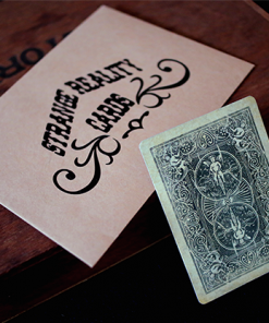 Strange Reality Cards V2 (Vernon) by Seth Race & Nonplus Productions - Trick