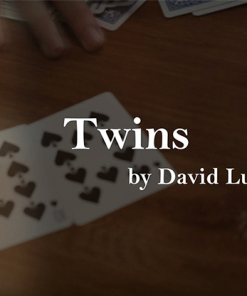 Twins by David Luu video DOWNLOAD