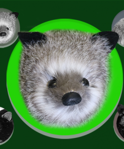 Silver Fox Spring Animal by Magic Masters - Trick