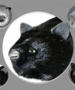 Black Fox Spring Animal by Magic Masters - Trick