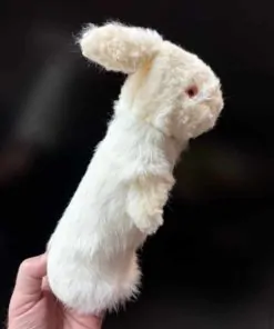 Rabbit Spring Animal by Magic Masters - Trick