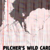 Pilcher's Wild Card by Matt Pilcher video DOWNLOAD Pilcher's Wild Card by Matt Pilcher video DOWNLOAD