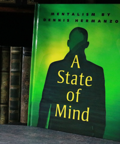 A State of Mind by Dennis Hermanzo - Book