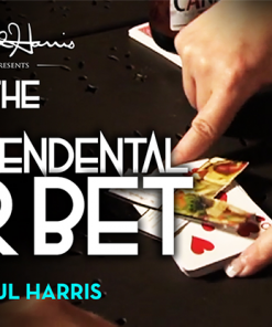 The Vault - The Transcendental Bar Bet by Paul Harris video DOWNLOAD