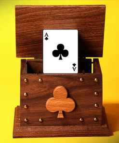 CARD IN THE AIR by Tora Magic CARD IN THE AIR by Tora Magic