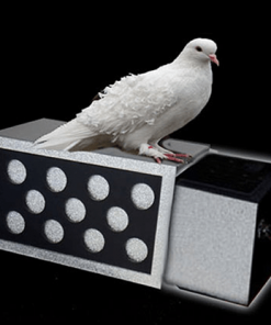 DRAWER BOX WITH HOLES (SILVER) by Tora Magic