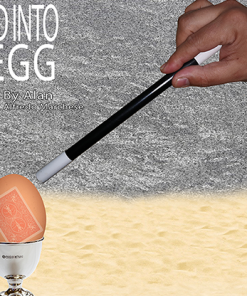 THE CARD INTO THE EGG (Gimmicks and Online Instructions) by Alan Alfredo Marchese - Trick