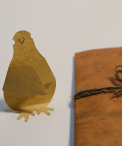 Tiny Bird (Gimmick and Online Instructions) by Hugo Choi - Trick