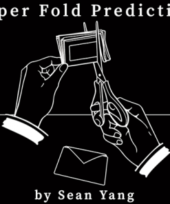 Paper Fold Prediction by Sean Yang - Trick