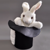 Rabbit in Hat by Tora Magic - Trick