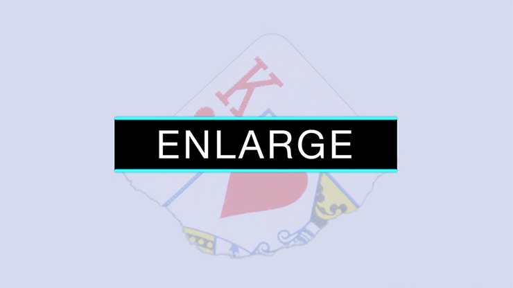 Enlarge (DVD and Gimmicks) by SansMinds - DVD