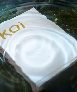 Koi V2 Playing Cards by Byron Lueng