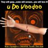 U Do Voodoo - Bruce Spangler / Viking