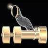 Ring off Brass Bolt Ring off Brass Bolt