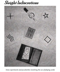 Sleight Indiscretions by Brian Lewis eBook DOWNLOAD