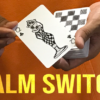Magic Encarta Presents Palm Switch & Palm Control by Vivek Singhi Magic Encarta Presents Palm Switch & Palm Control by Vivek Singhi