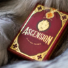 Ascension (Lion) Playing Cards by Steve Minty Ascension (Lion) Playing Cards by Steve Minty
