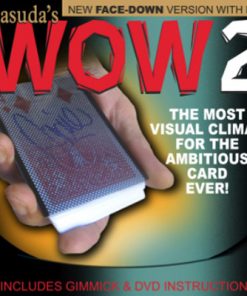 Wow 2.0 (Face Down Version and DVD) by Masuda - DVD