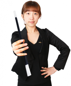 Appearing & Vanishing Wand (Black) by JL Magic - Trick