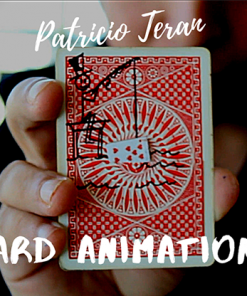 The Vault - Card Animations by Patricio Teran video DOWNLOAD