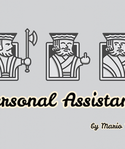 Personal Assistant by Mario Tarasinivideo DOWNLOAD
