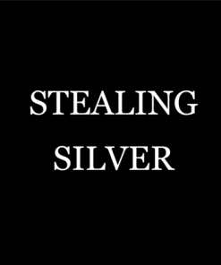 Stealing Silver by Damien Fisher video DOWNLOAD