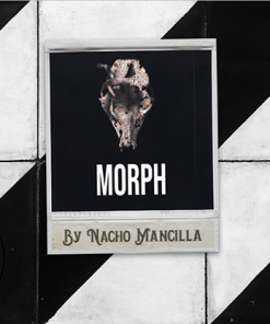 The Vault - MORPH by Nacho Mancilla Mixed Media DOWNLOAD