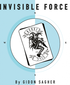 Invisible Force by Gidon Sagher eBook DOWNLOAD