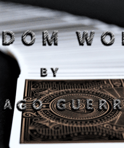 Random World by Tiago Guerra video DOWNLOAD