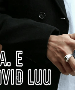 Blink Of An Eye by David Luu video DOWNLOAD