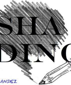 Shading by Brandez video DOWNLOAD
