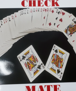 Check Mate by Dibya Guha video DOWNLOAD